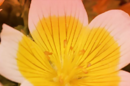 白池花籽油